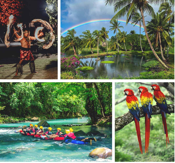 Top: Turtle Bay Hotel, Oahu & Loko Ea Fishpond  |  Bottom: Four Seasons, Costa Rica & Scarlet Macaws
