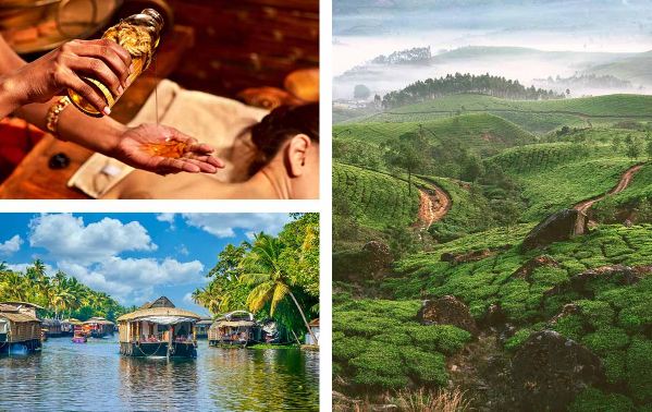 Top: Ayurvedic Massage  |  Bottom: Kerala Backwaters  |  Right: Tea Plantation, Munnar, Kerala
